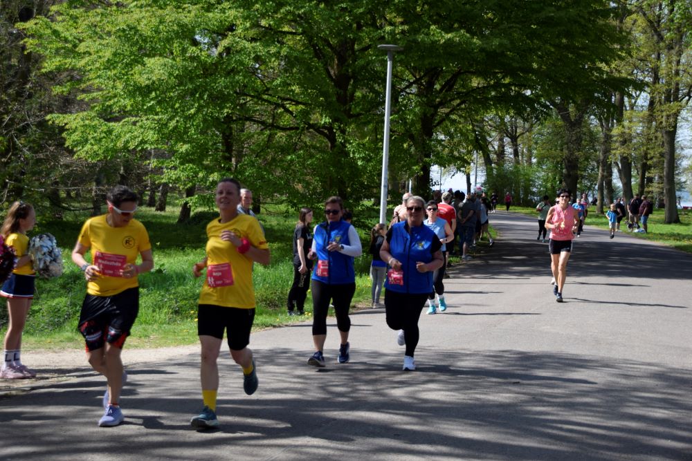 Frauenlauf 2026 2