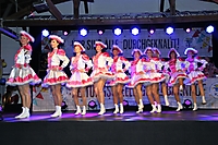 Faschingssaison 2016