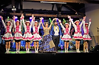 Faschingssaison 2017