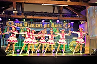 Faschingssaison 2017