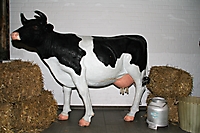 Faschingssaison 2018_2