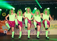 Faschingssaison 2020